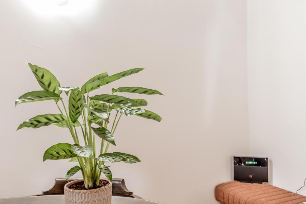 Apartmán Casa Ghetto 13 Řím Exteriér fotografie
